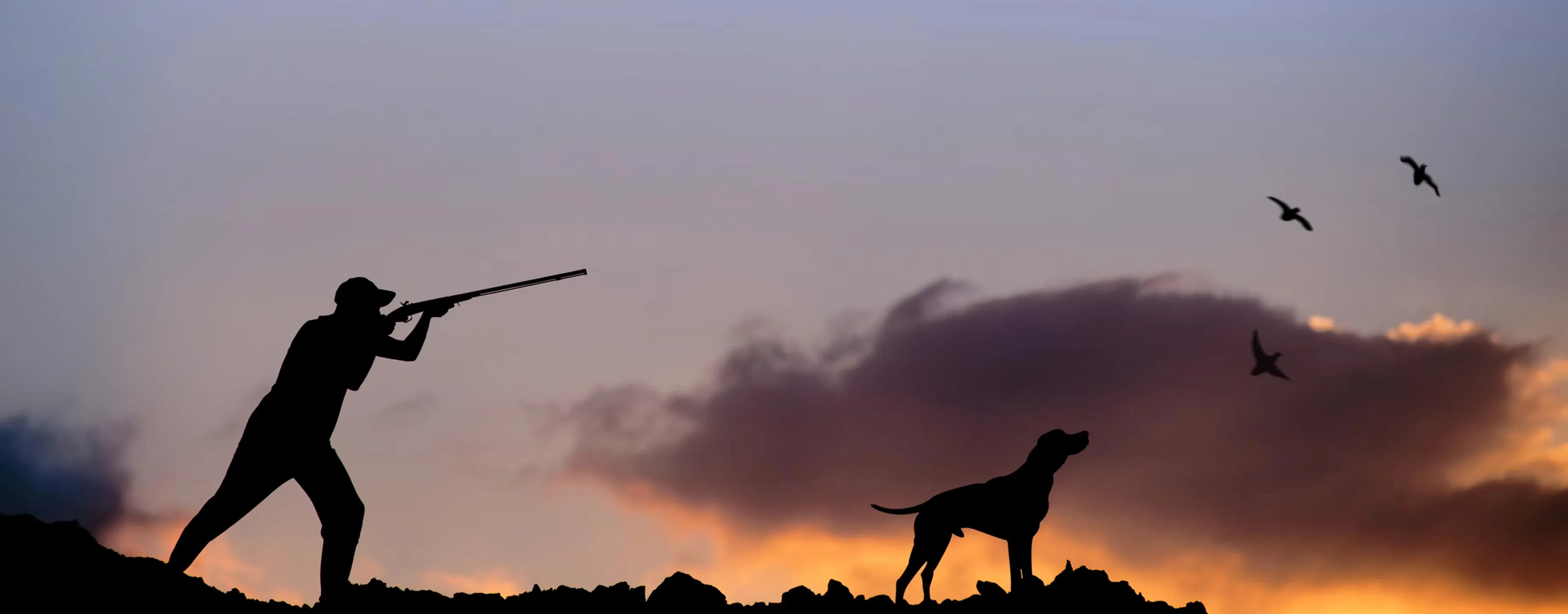 Silhouette of a hunter aiming a shotgun with a dog standing nearby and birds flying against a colorful sunset sky.