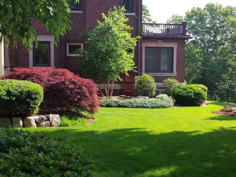 Close-up of a paved stone driveway with a curved border and a grassy area on the left side.