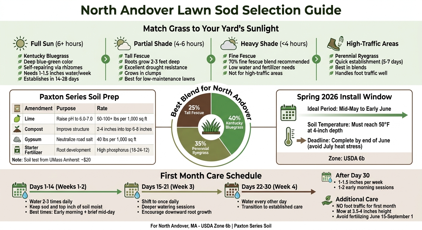 North Andover Sod Selection Guide: Grass Types, Soil Prep, and Care Schedule