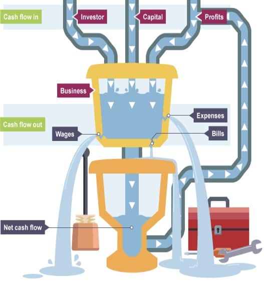 Payer Mix Infographic Breakdown