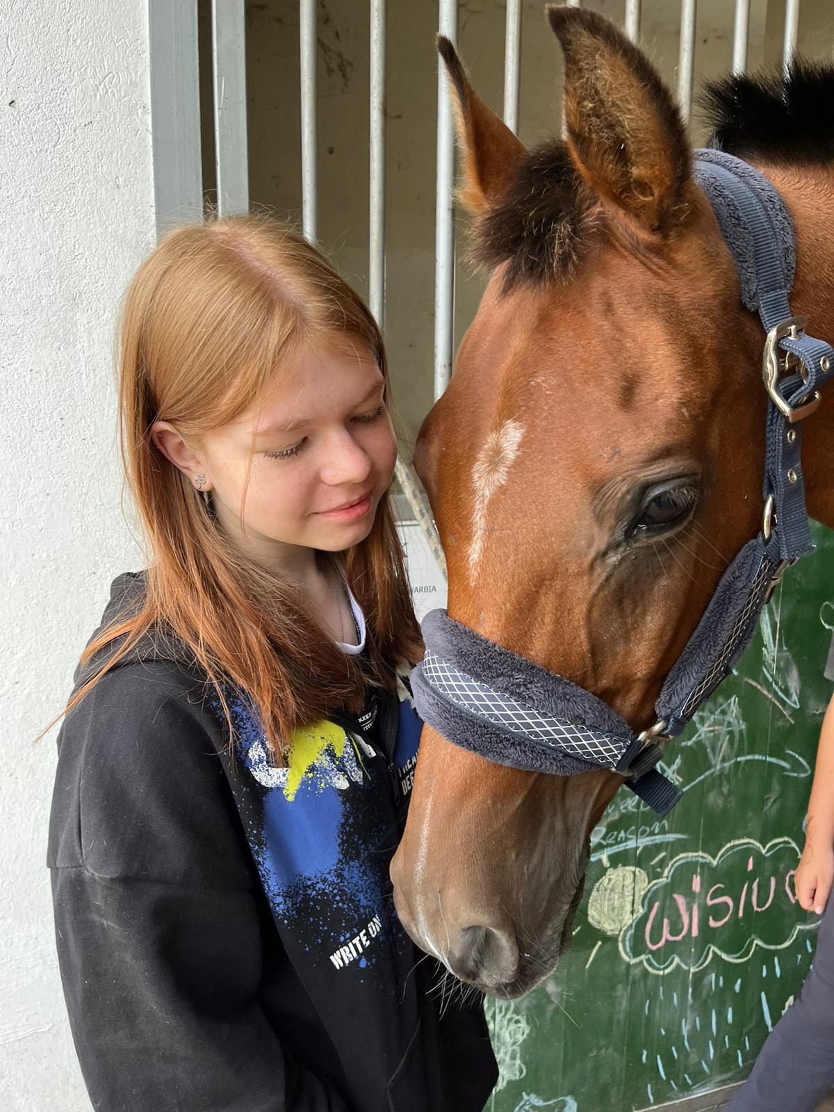 CampScout atmosphere 11