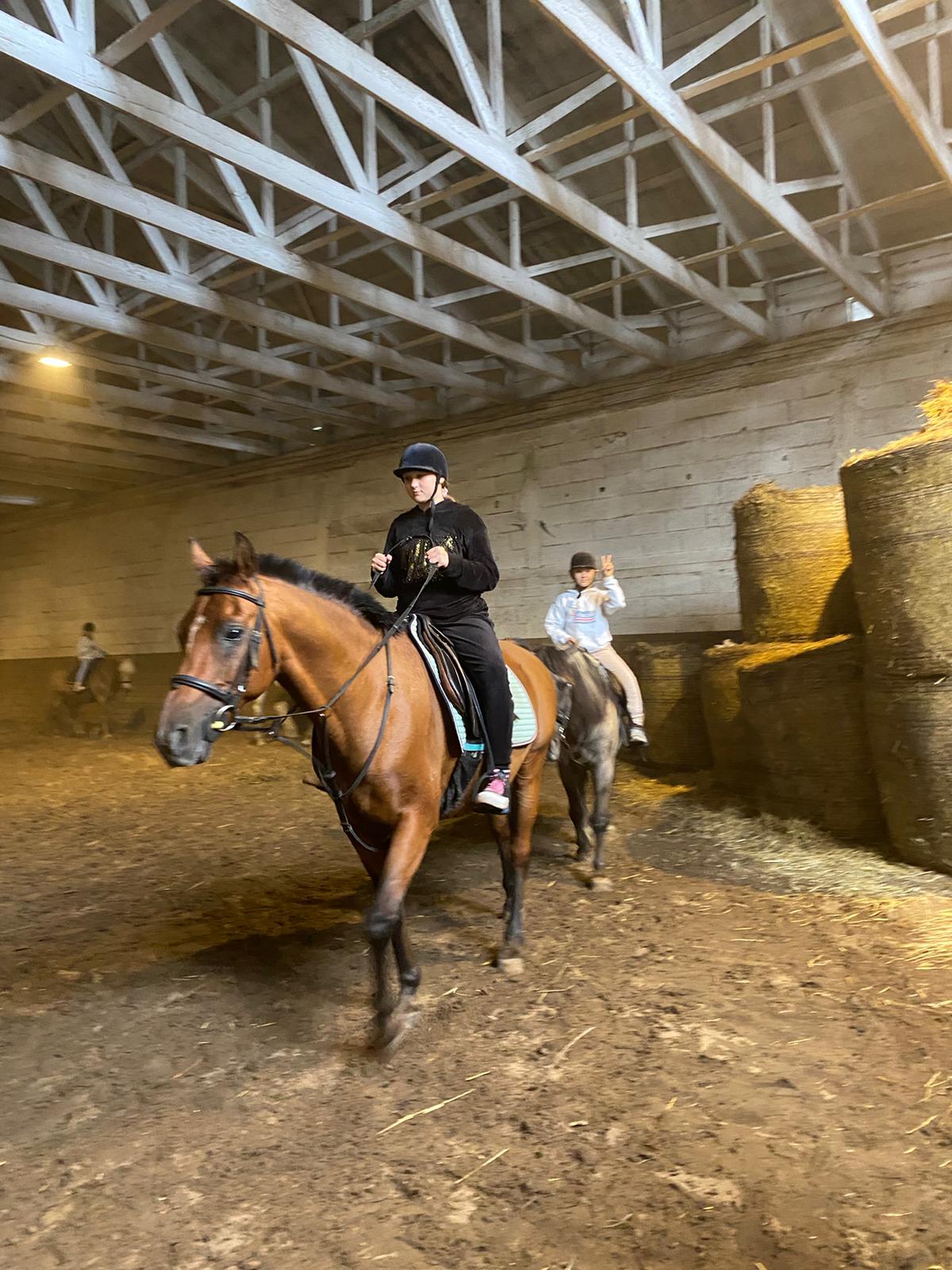 CampScout atmosphere 55