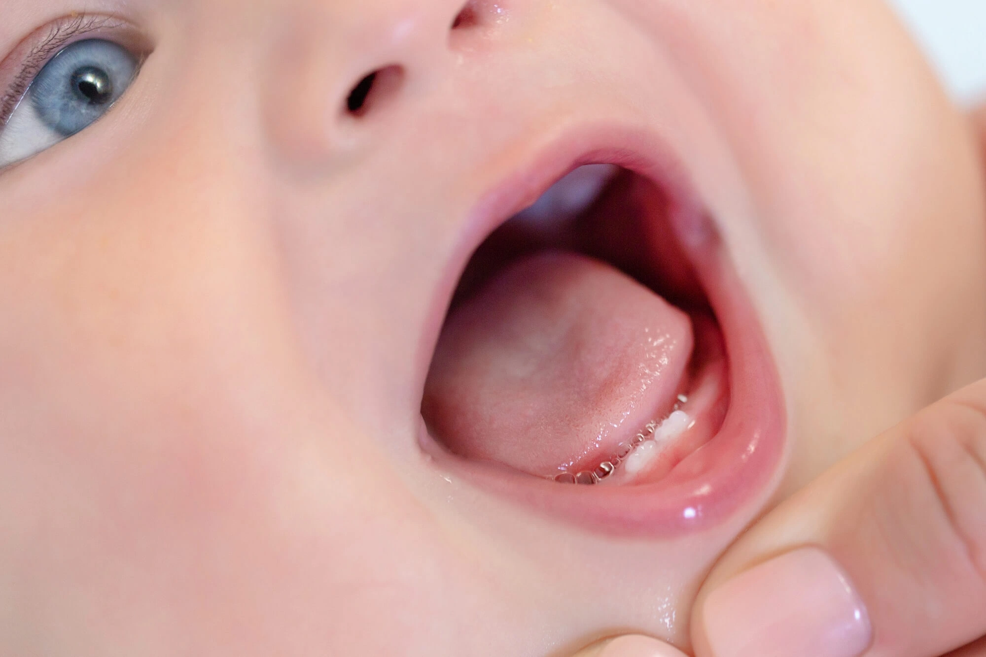 Close-up of a baby’s open mouth showing first lower teeth and tongue.