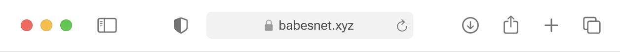 Browser address bar showing the URL babesnet.xyz with browser navigation and control icons.