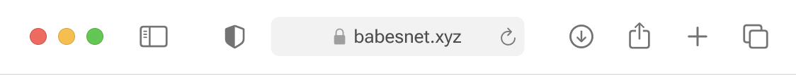 Browser address bar showing the URL babesnet.xyz with standard navigation and window control icons.