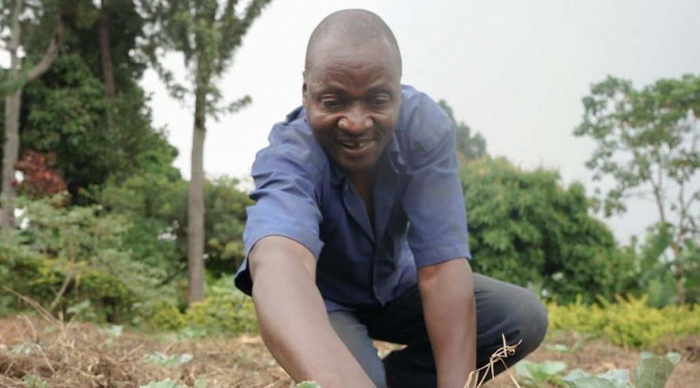 Addressing Food Insecurity in the Pandemic