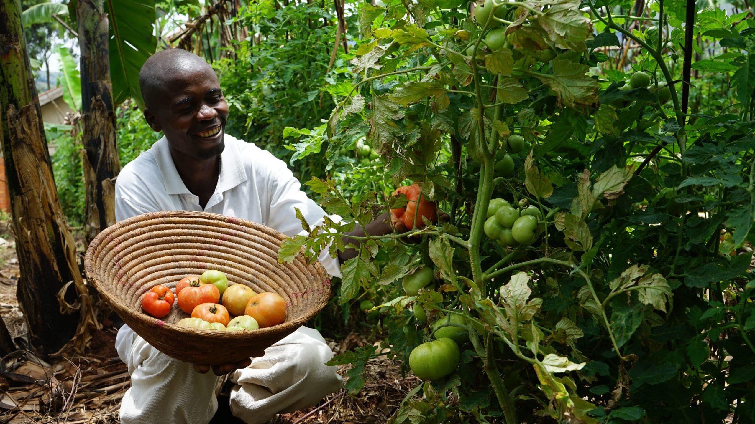 Strengthening Smallholder Farmers in Uganda