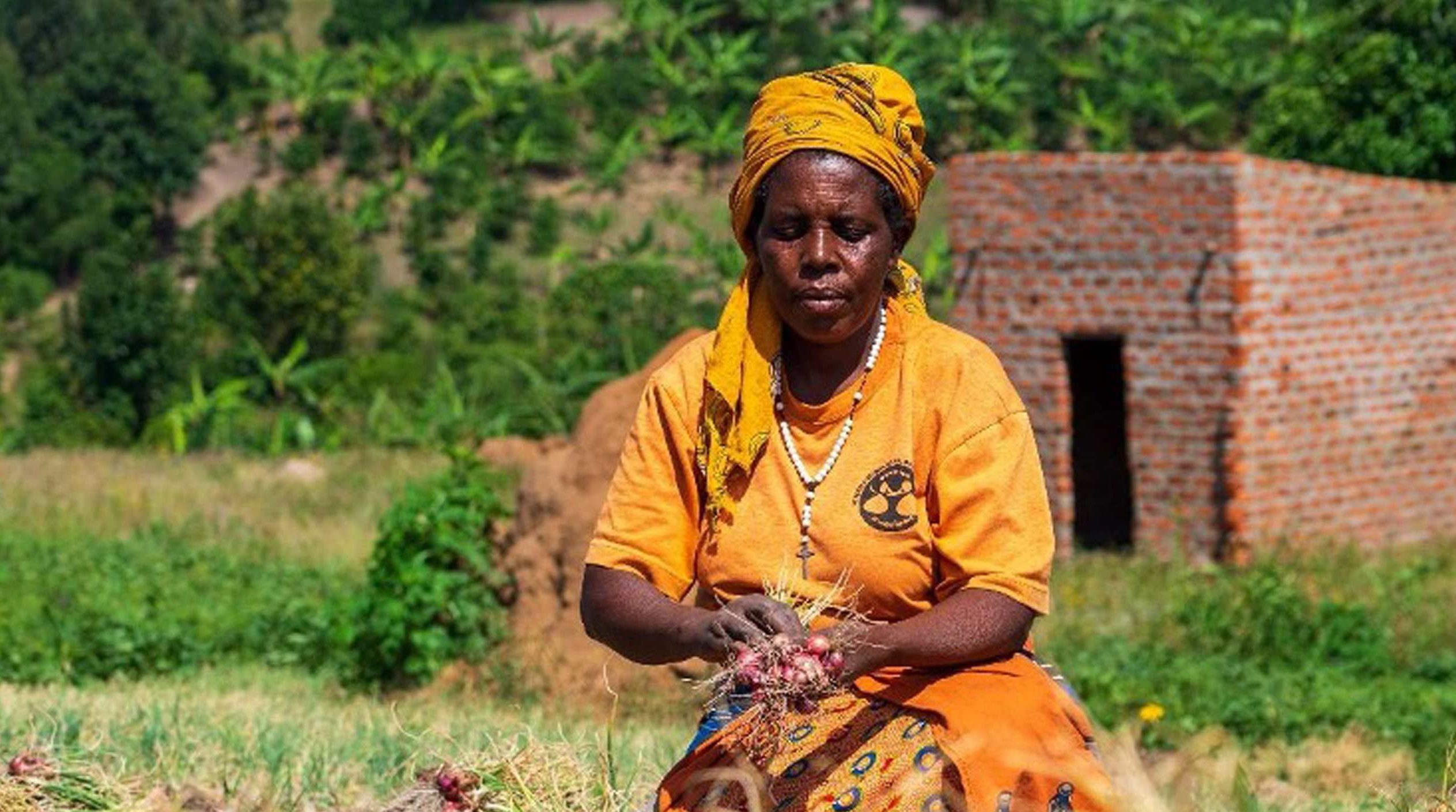 A Recipe for Success