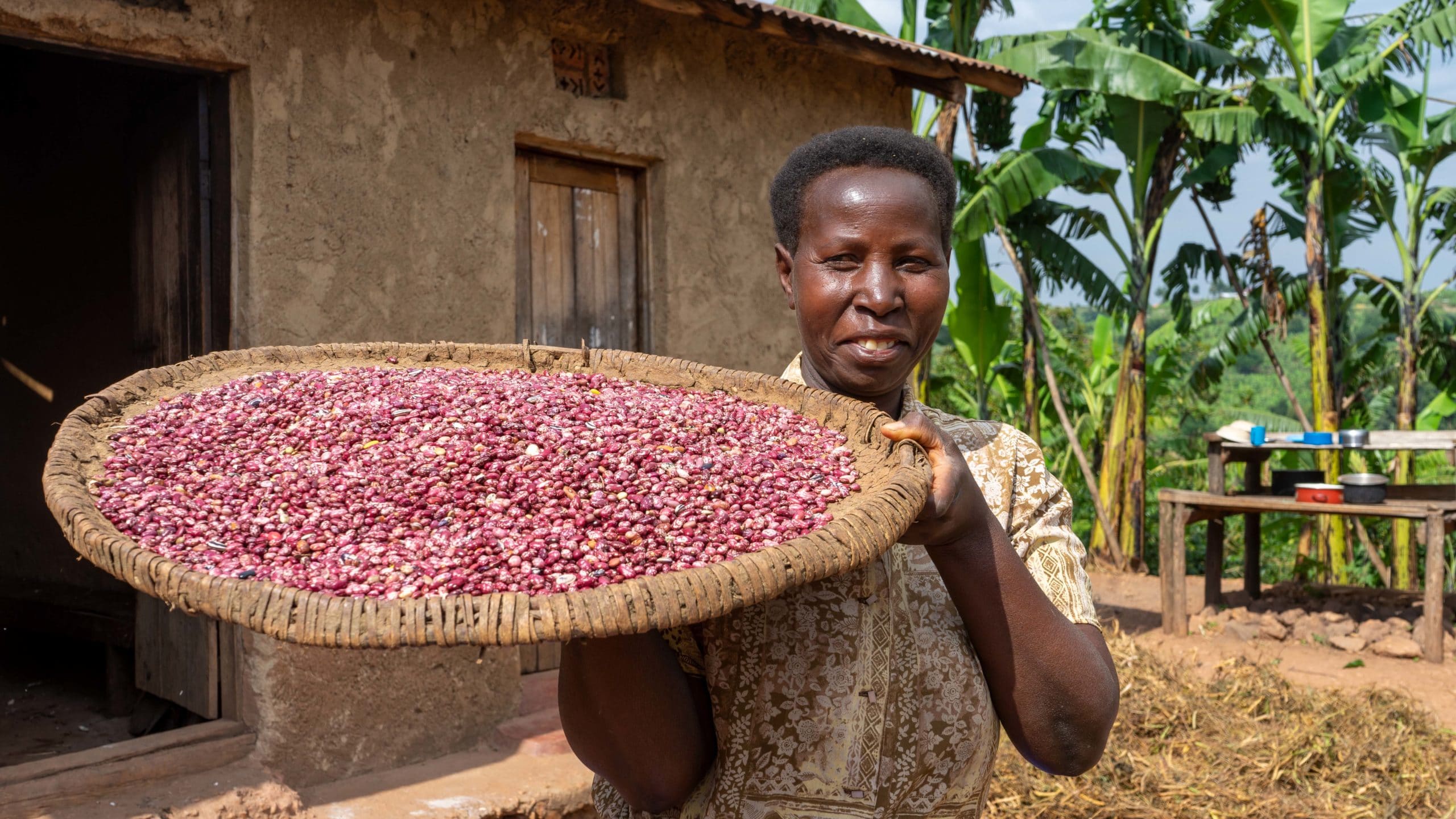 Better Seeds For a Better Yield