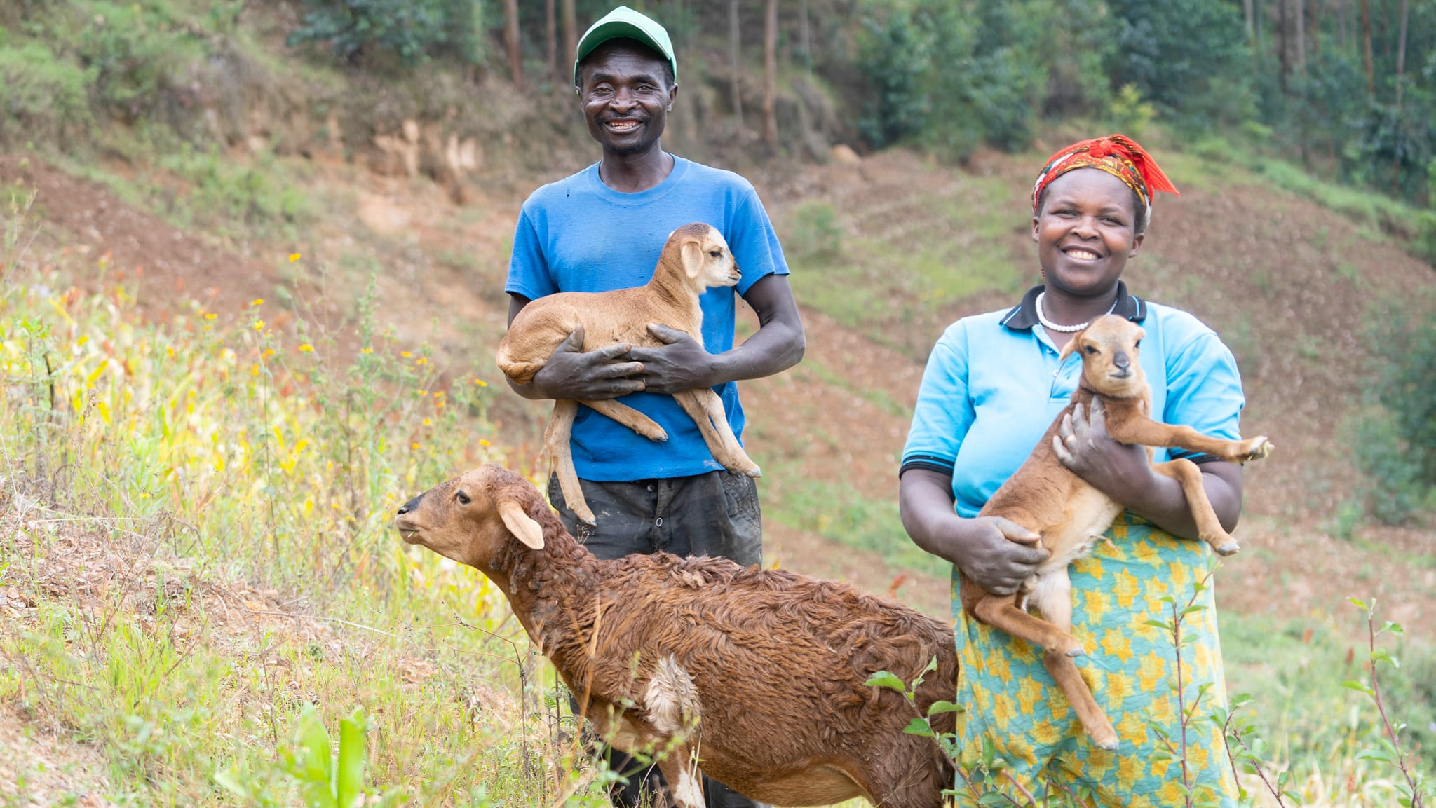 Two Halves, Equal Partners