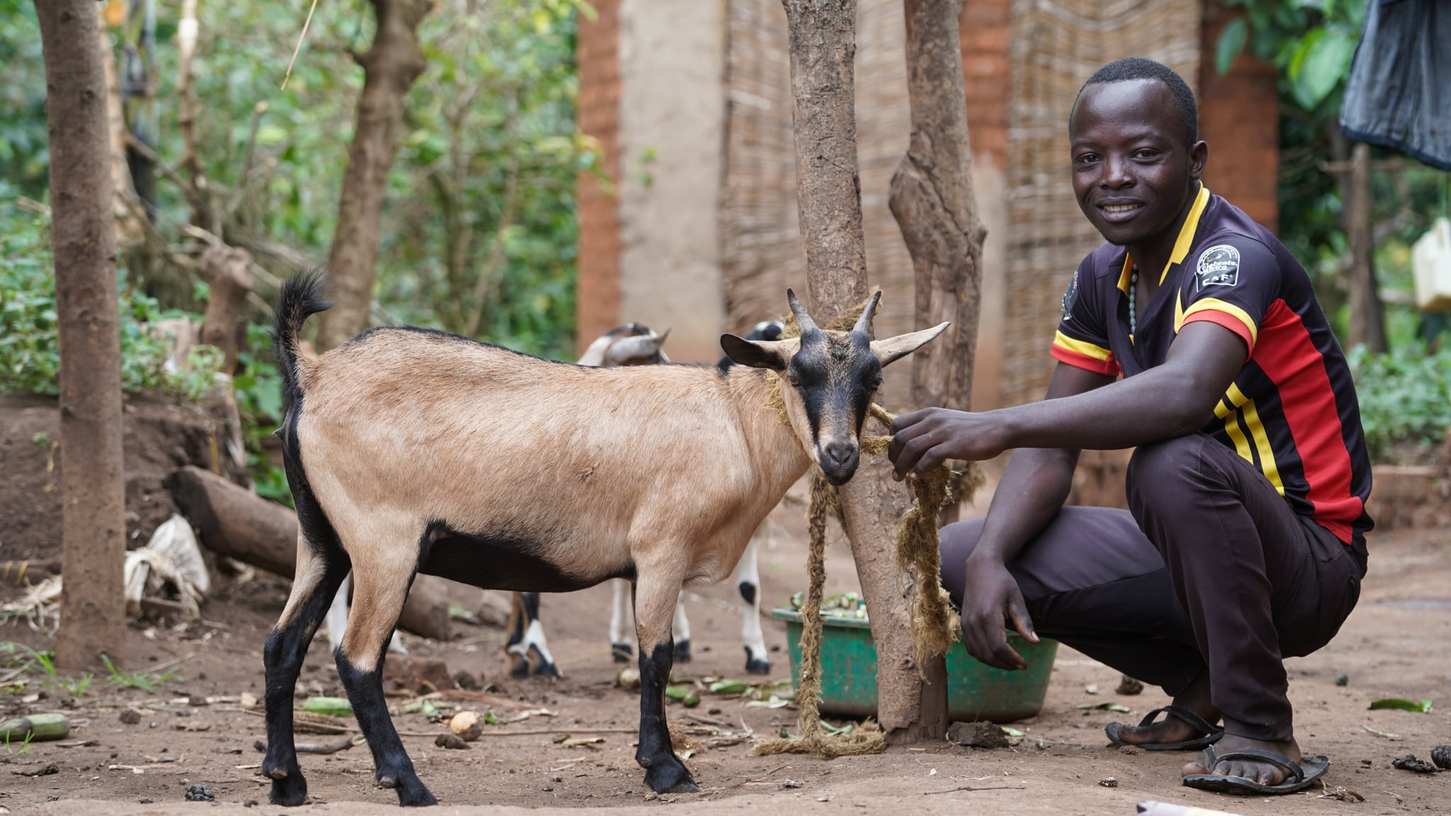 Turning Obstacles into Opportunities