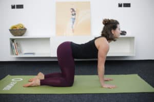 Junge Frau macht Beweglichkeitsübung Cat & Cow