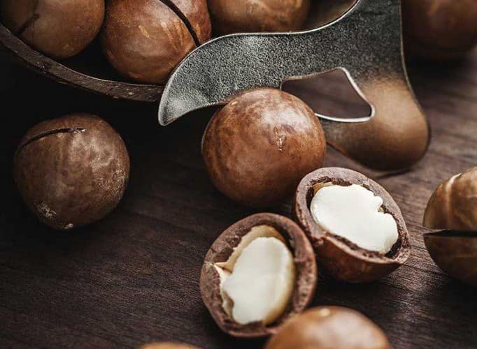 Macadamia Nüsse mit und ohne Schale