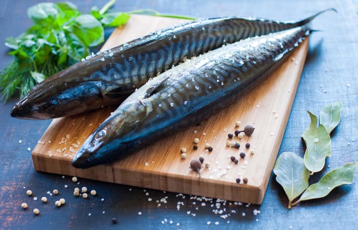 Zwei frische blaue Makrelen auf einem Holzbrett