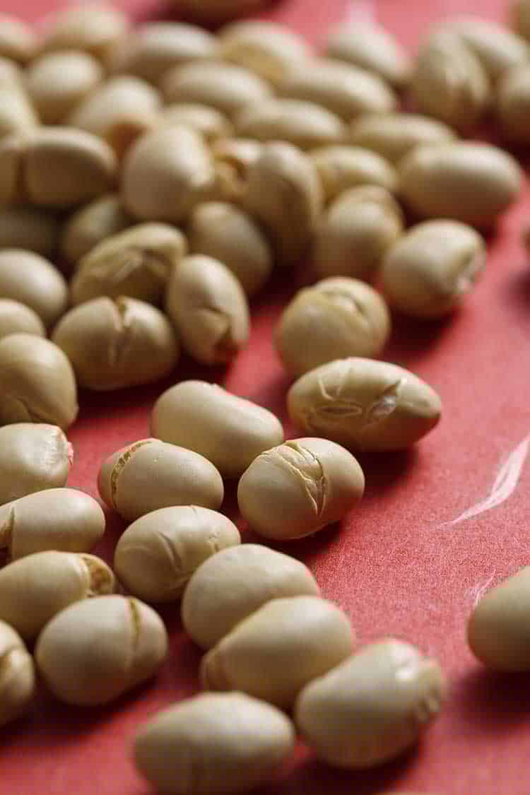 Ungeschälte Sojabohnen auf rotem Untergrund