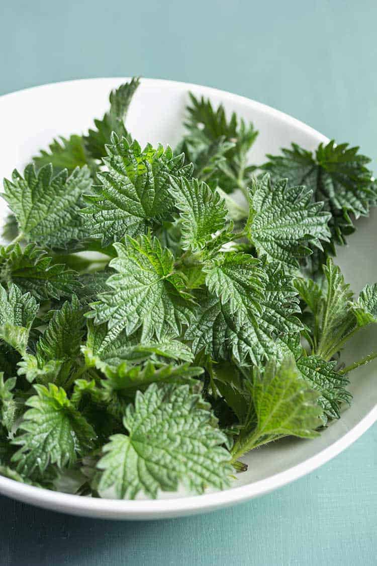 Drei Glasschalen mit unterschiedlichen Peelings gefüllt auf einem Holztisch mit Kräutern und Quark und Honig