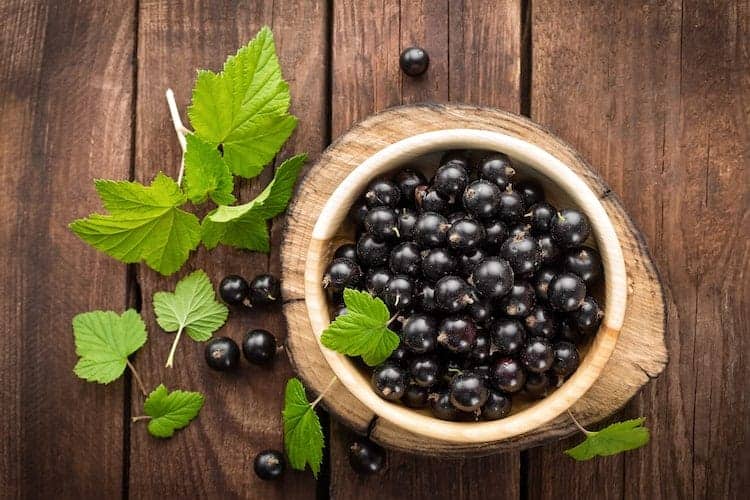 schwarze johannisbeeren in Holzschale auf tisch