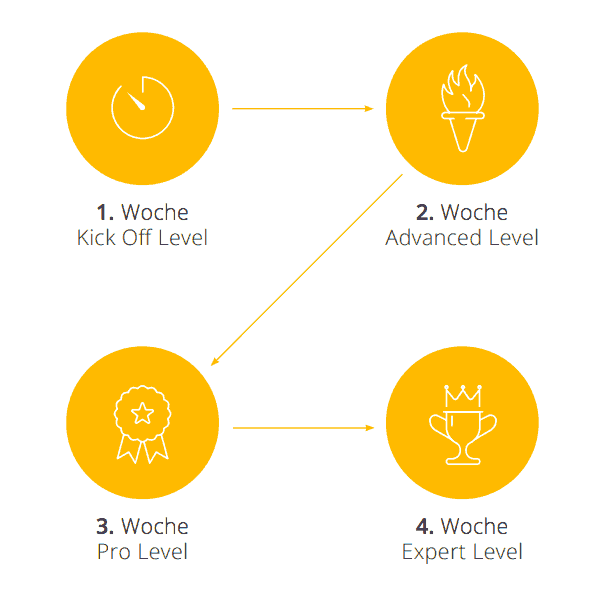 Grafik zeigt alle 4 Phasen von Fit ins Neue Jahr