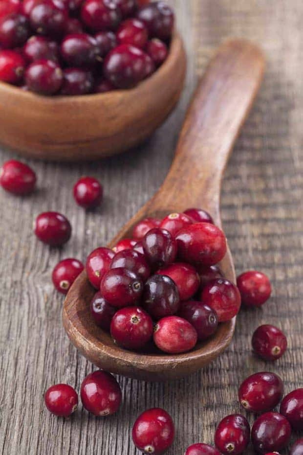 Ein Löffel voller Cranberry Früchten