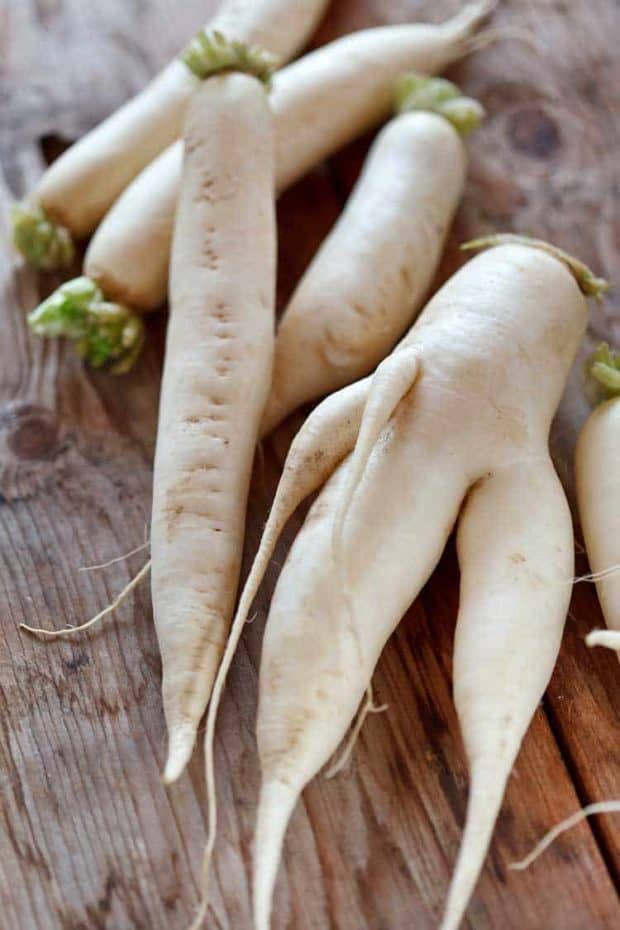 Weißer, geputzter Rettich