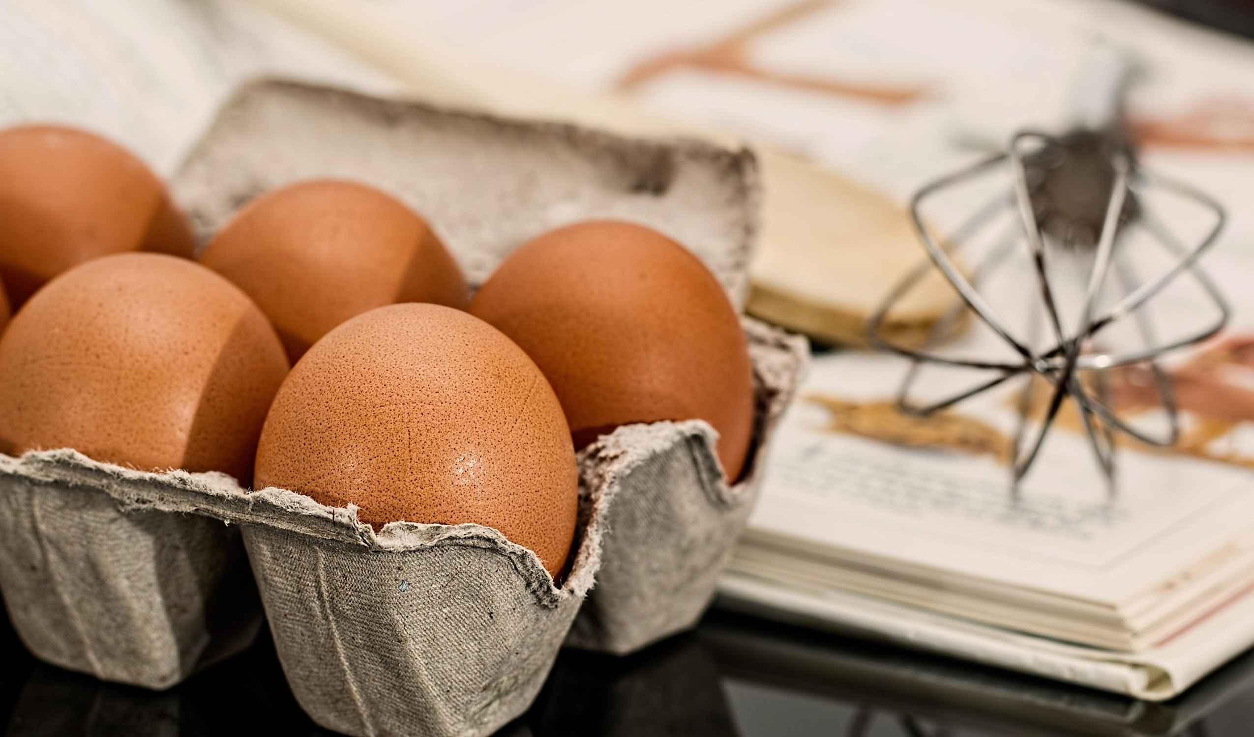 tipps leben gesundheit whey protein riegel ausgewogene ernährung funktion nahrungsergänzungsmittel bestandteil einnahme haut proteinpulver health claims aminosäuren spaziergang baustoff instituts folge proteinmangel organen nährstoffe bedeutung wissen antwort körperfunktionen milchprodukte fakt fleisch gegenteil beitrag weise getreideprodukte rahmen zellen bundeszentrum kinder zweite reaktionen prozesse ausdruck aufgaben