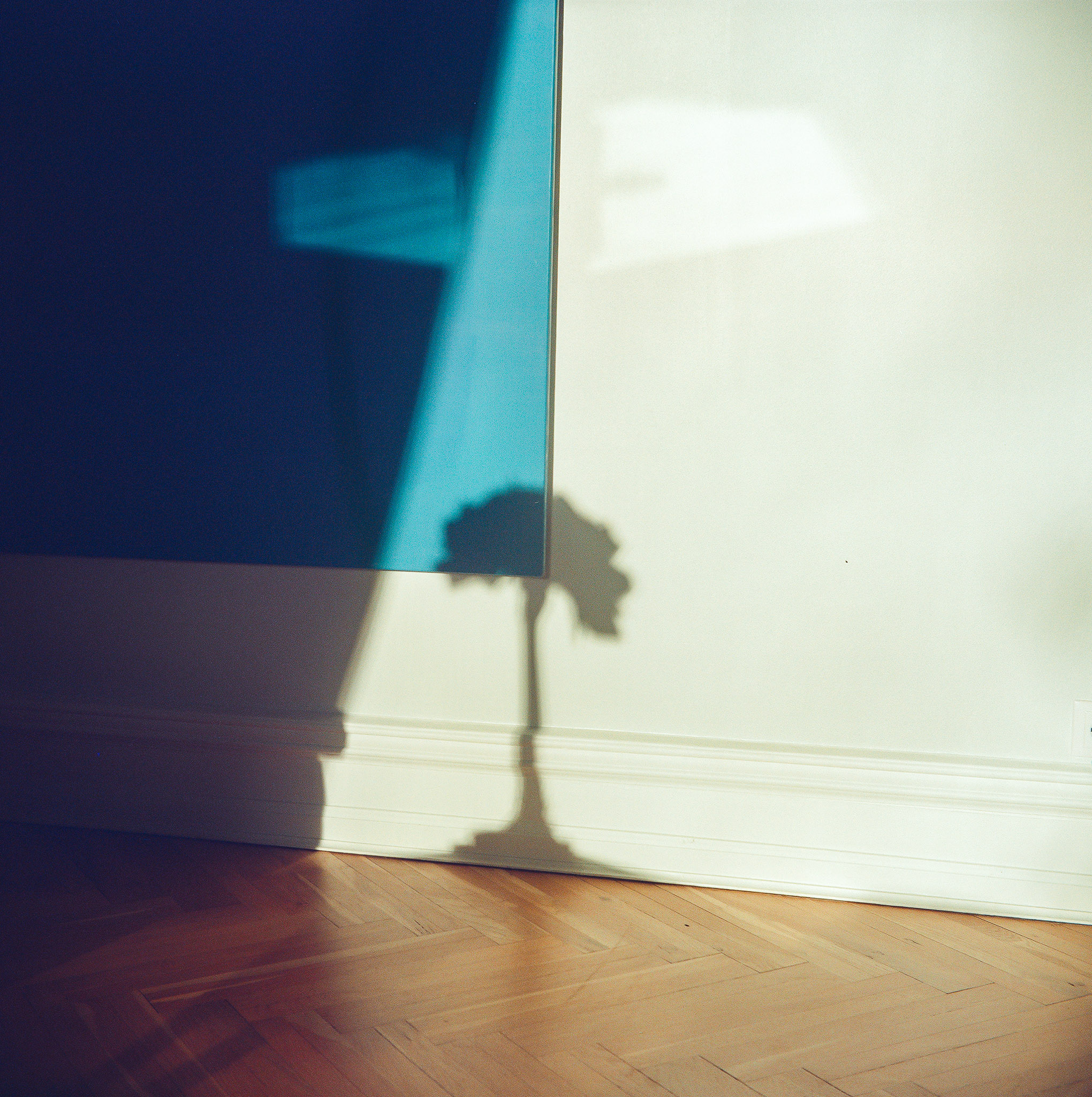 Medium format 8