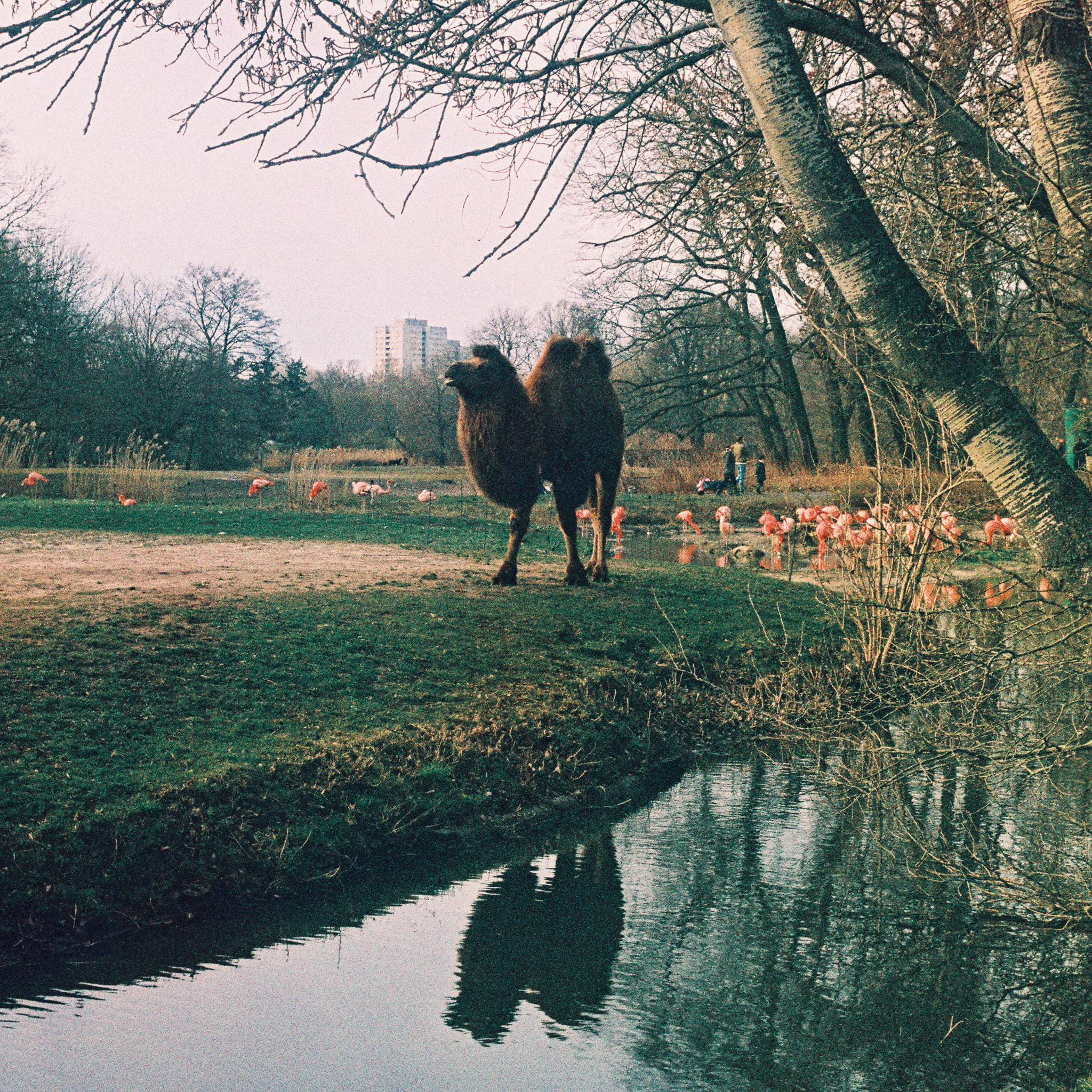 Medium format 10
