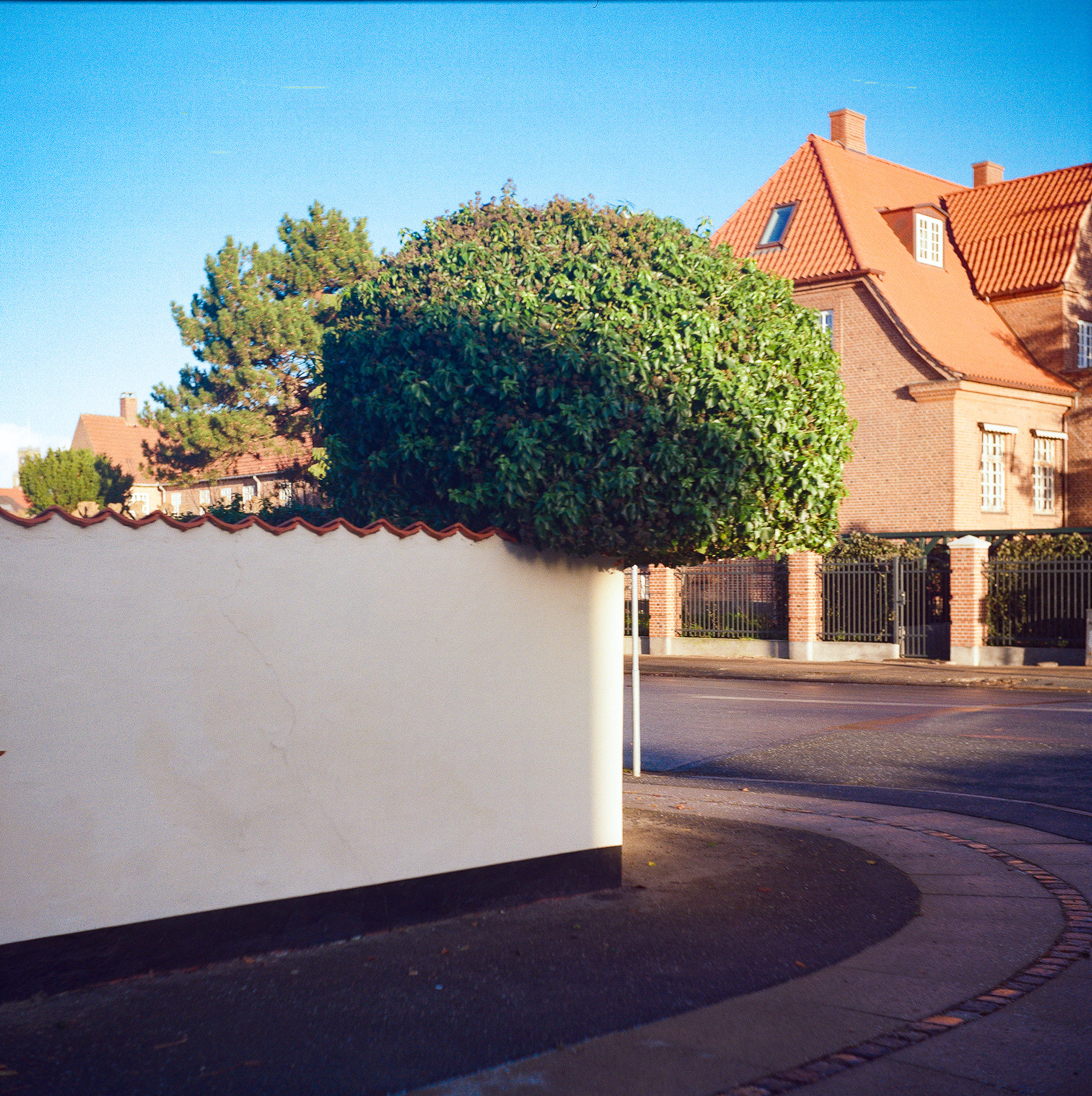 Medium format 18