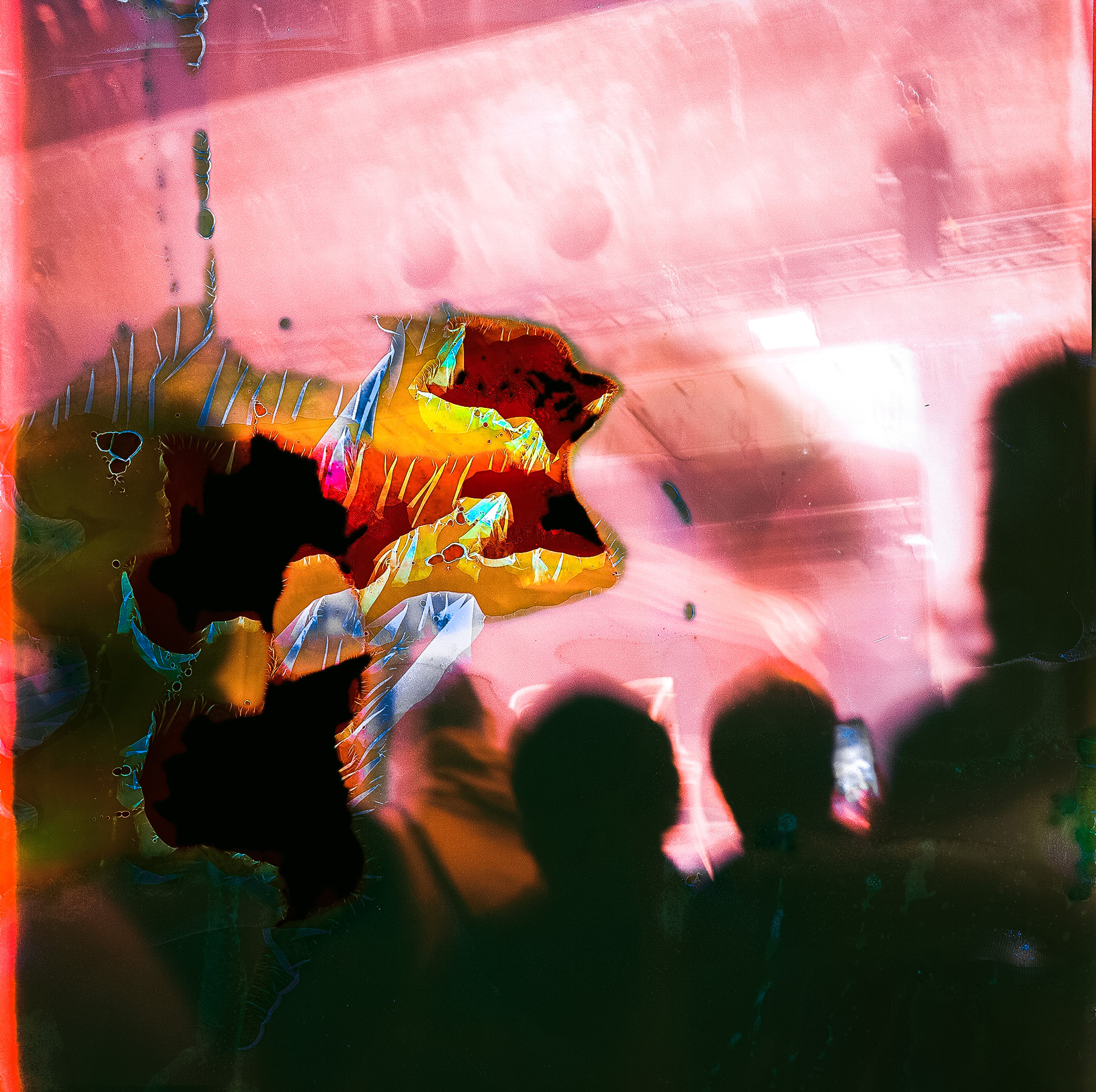 experimental-2