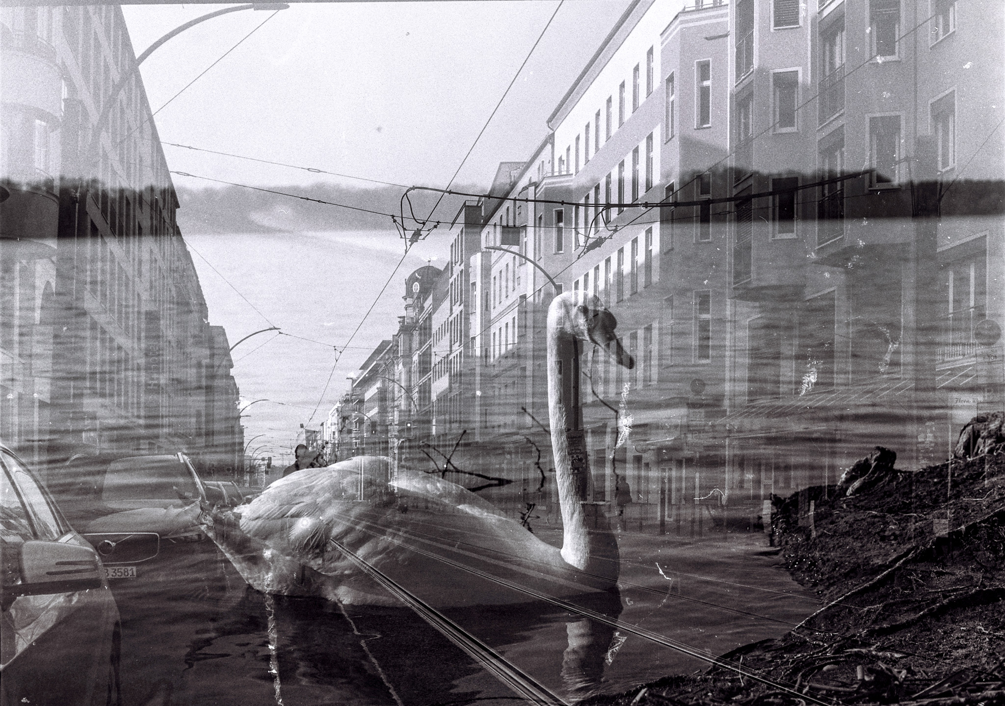 experimental-11