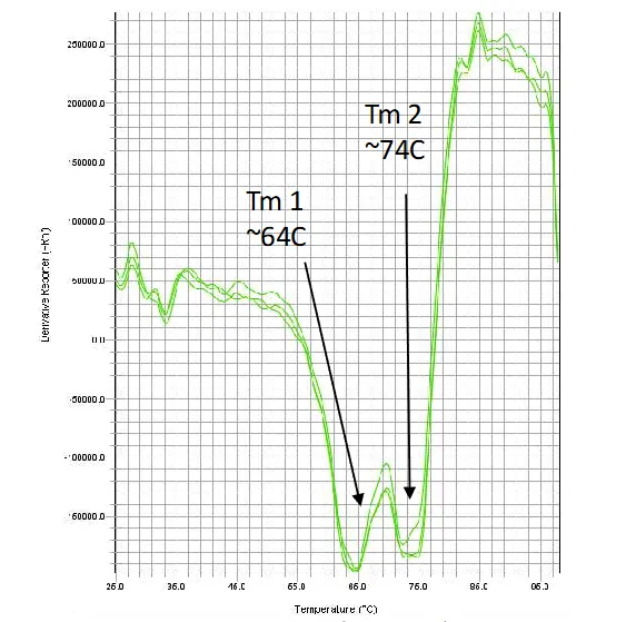 Melt data using Sypro orange