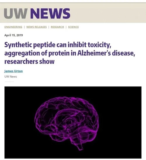 Synthetic Peptide Can Inhibit Toxicity, Aggregation of Protein in Alzheimer’s Disease, Researchers Show