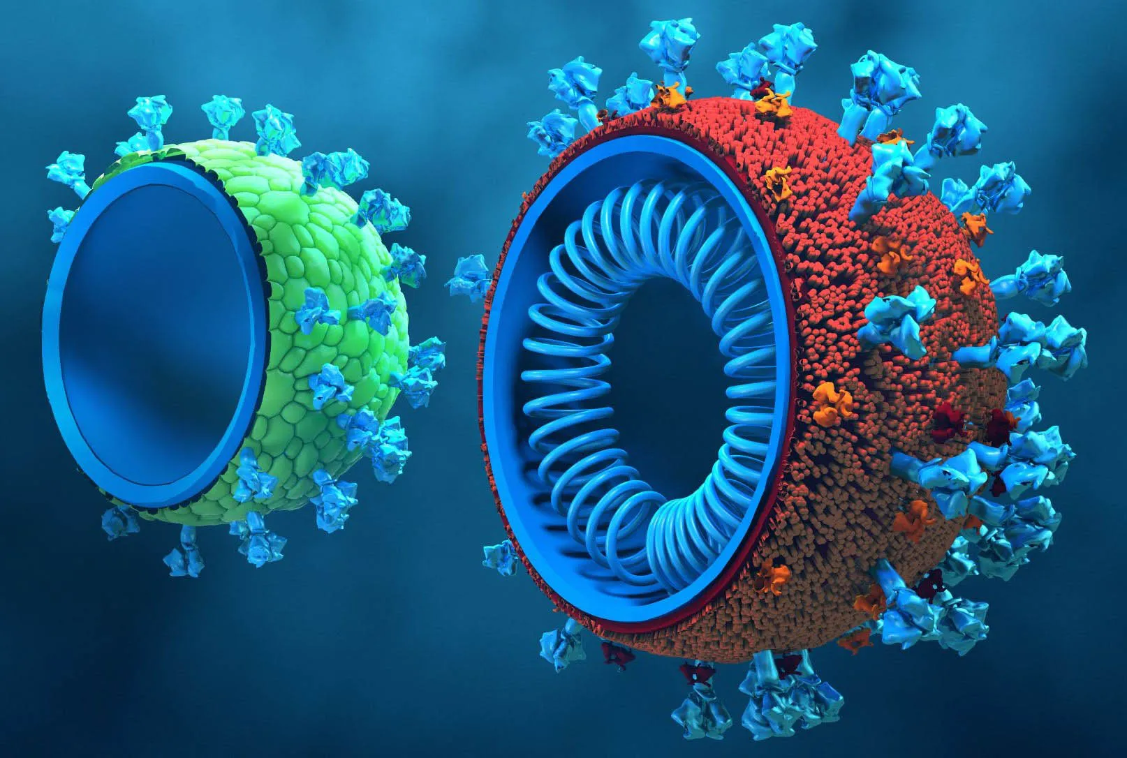 Virus-Like Particle (VLP) Characterization and Analysis with MMS