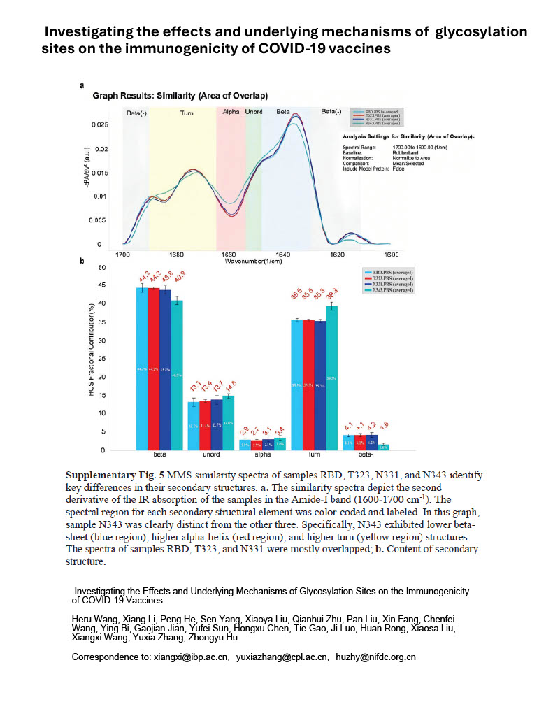 MMS used to study the effects and underlying mechanisms of glycosylation sites on the immunogenicity of COVID-19 vaccines
