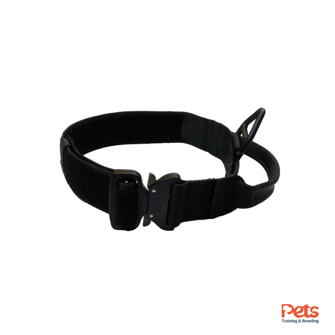 Cobra Buckle Collar