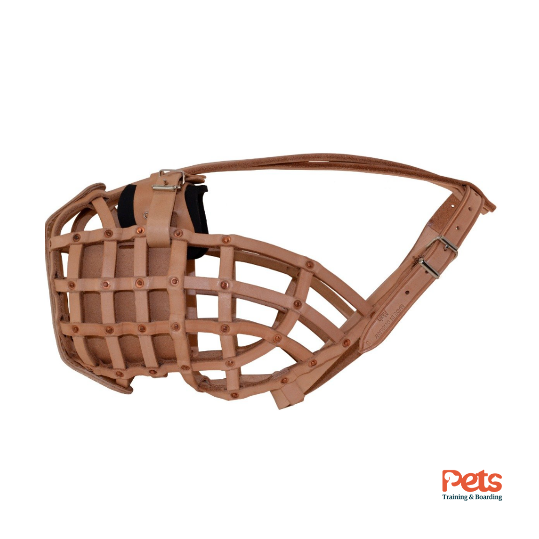 American Leather Muzzle