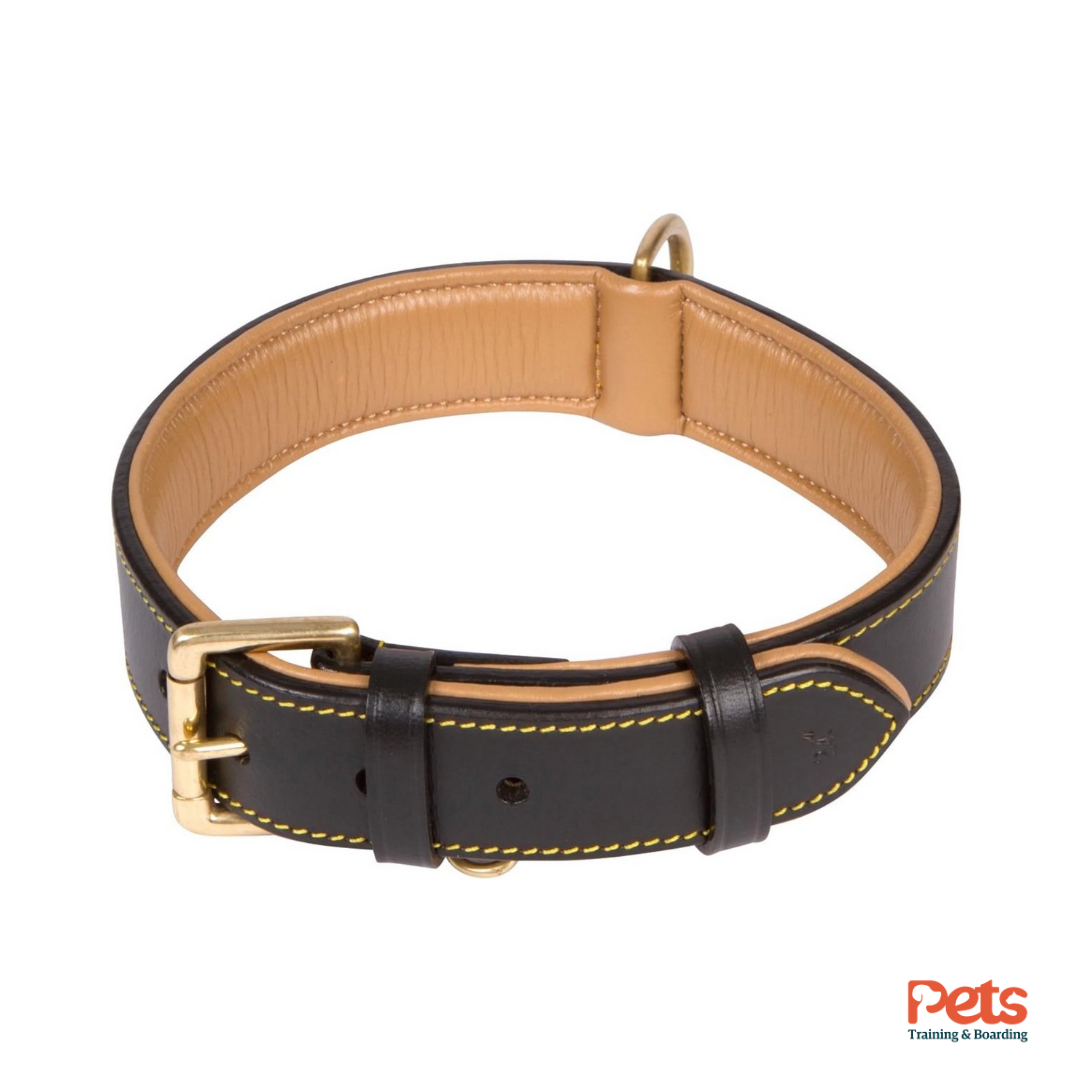 German Padded Leather Collar