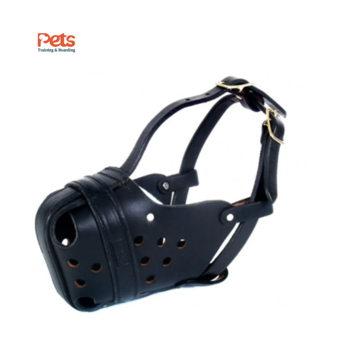 German Leather Muzzle
