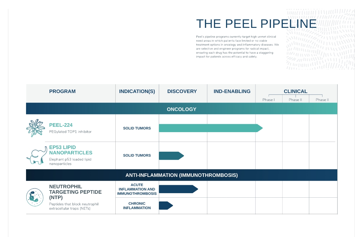 Designed pipeline table