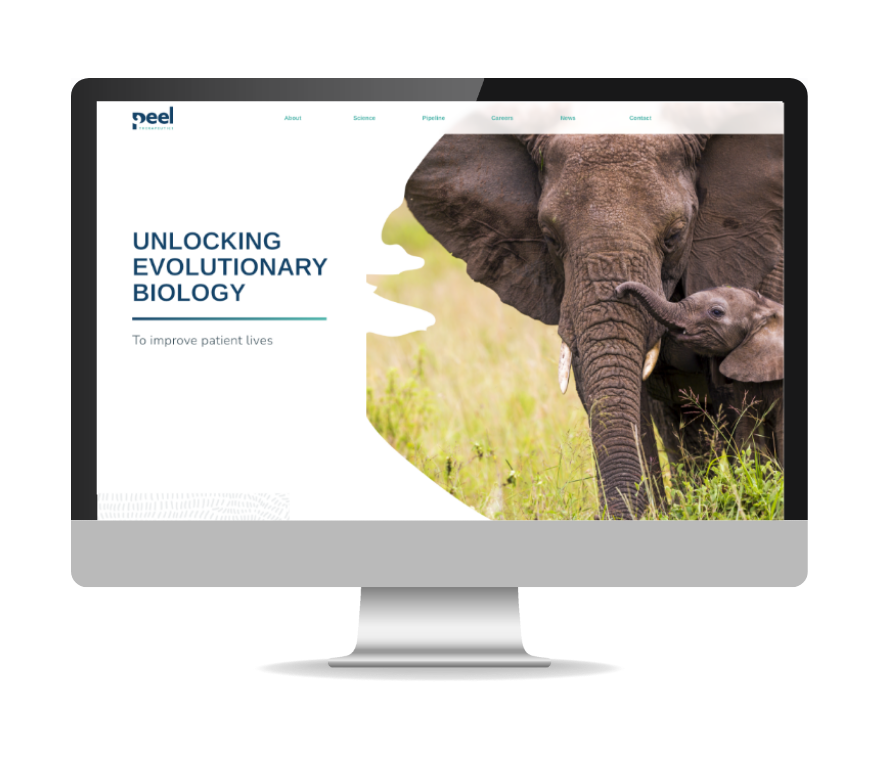 Computer screen showing Peel's site with mother and baby elephant