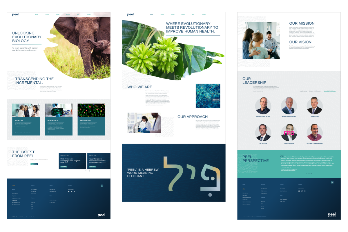 Home and About page layouts