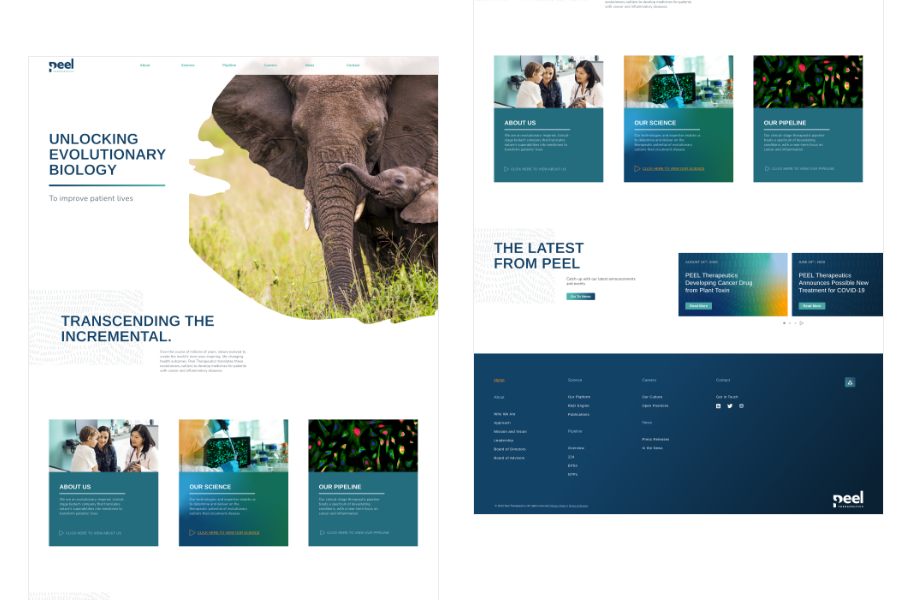 3rd iteration of a website