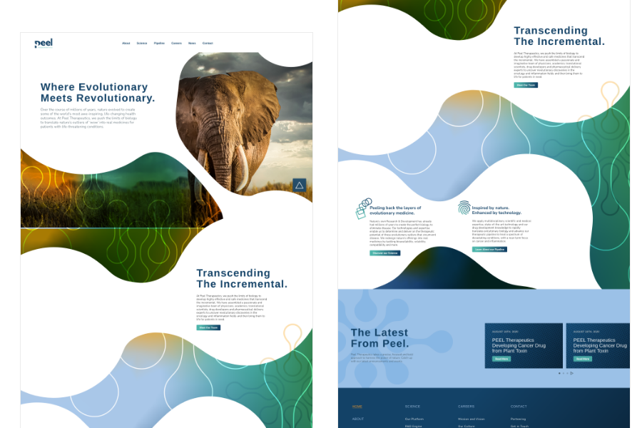 1st iteration of a website