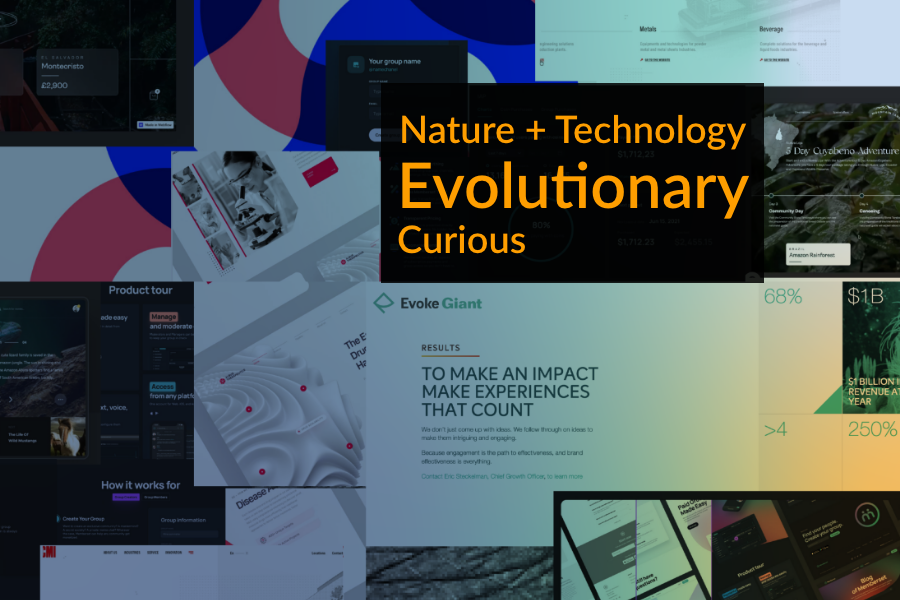 Moodboard for website