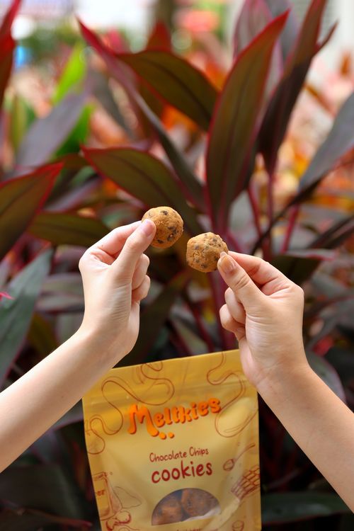Two hands holding small round chocolate chip cookies above a yellow package labeled Meltkies Chocolate Chips cookies with green and red leafy background.