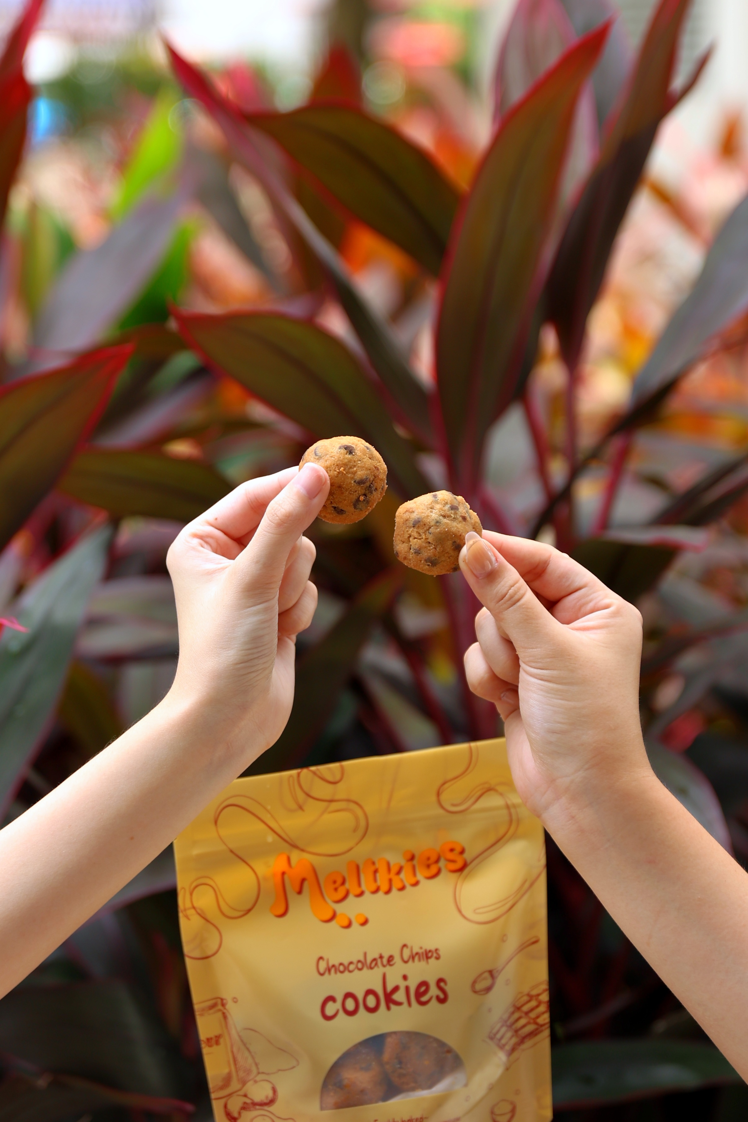 Two hands holding small round chocolate chip cookies above a yellow package labeled Meltkies Chocolate Chips cookies with green and red leafy background.