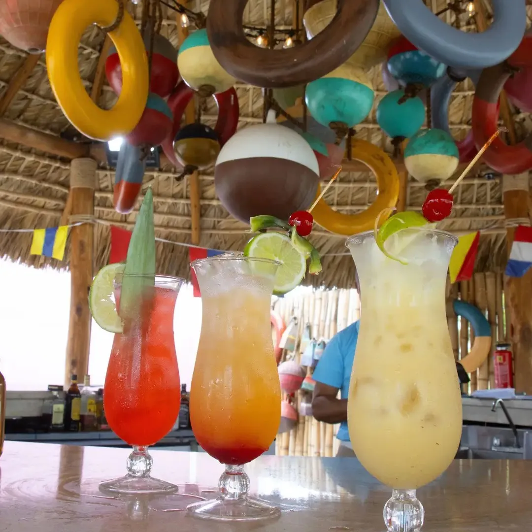 Artist-hosted activity on Groove Cruise