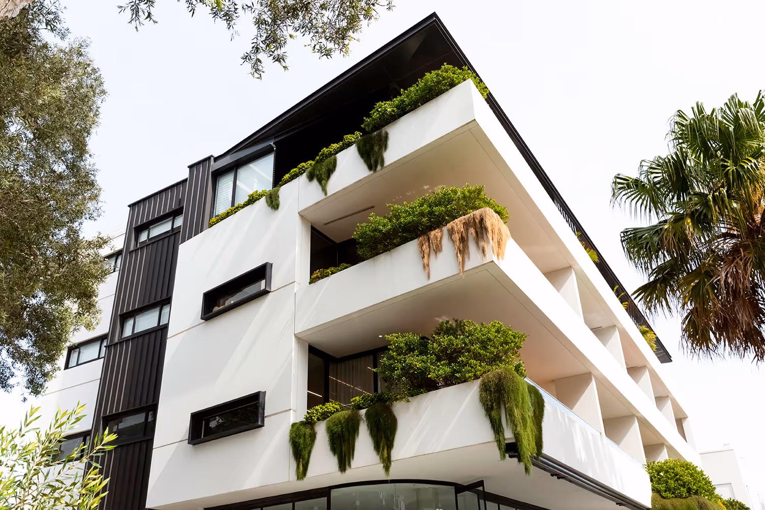 Modern white building with black window frames featuring balconies adorned with green plants and hanging foliage.