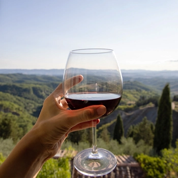 Vines and Views: A Parisian Wine Odyssey