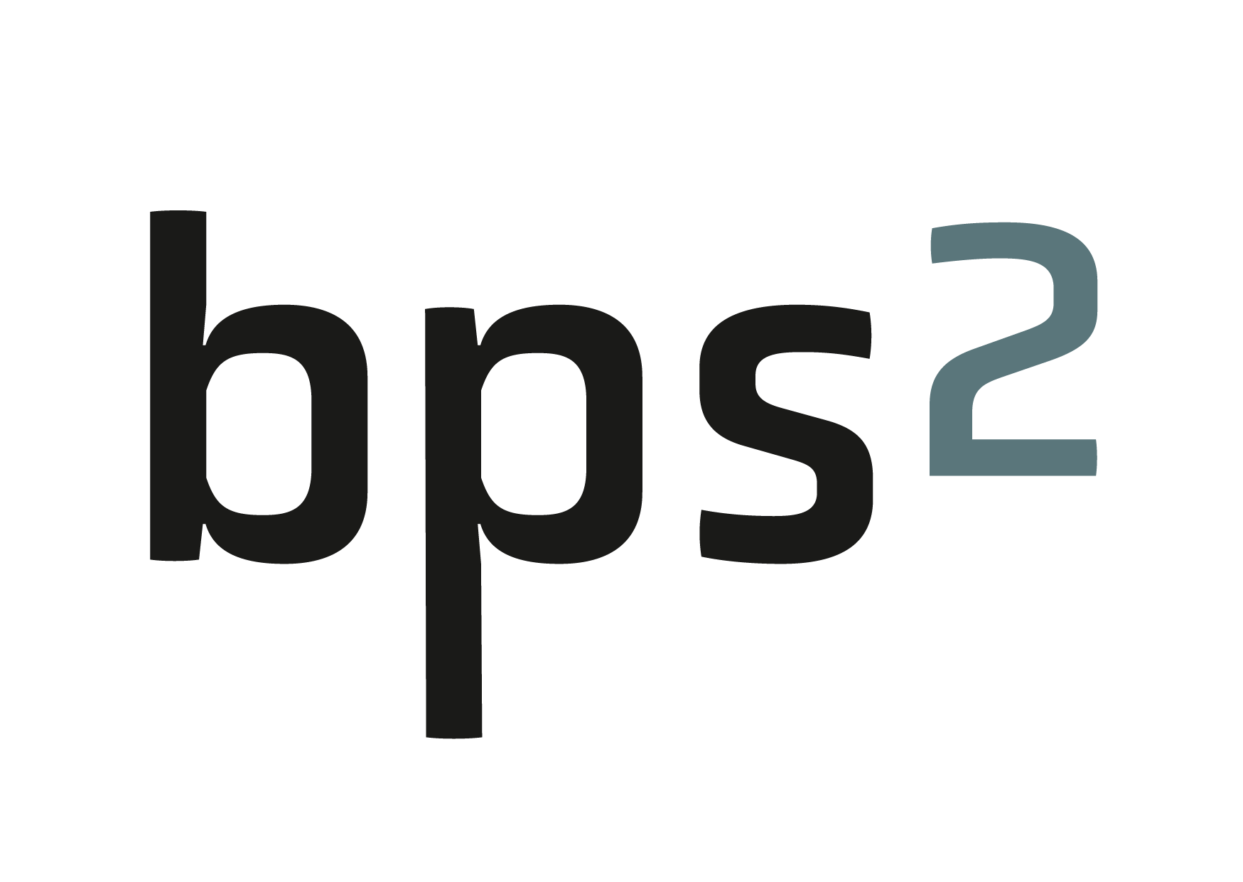 bps2 Logo dunkel